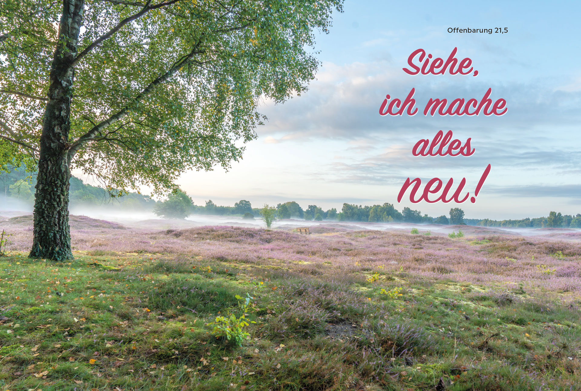 Christliches Wandbild mit Jahreslosung 2026 aus Offenbarung 21,5 über einer Heidelandschaft mit Baum und Morgennebel