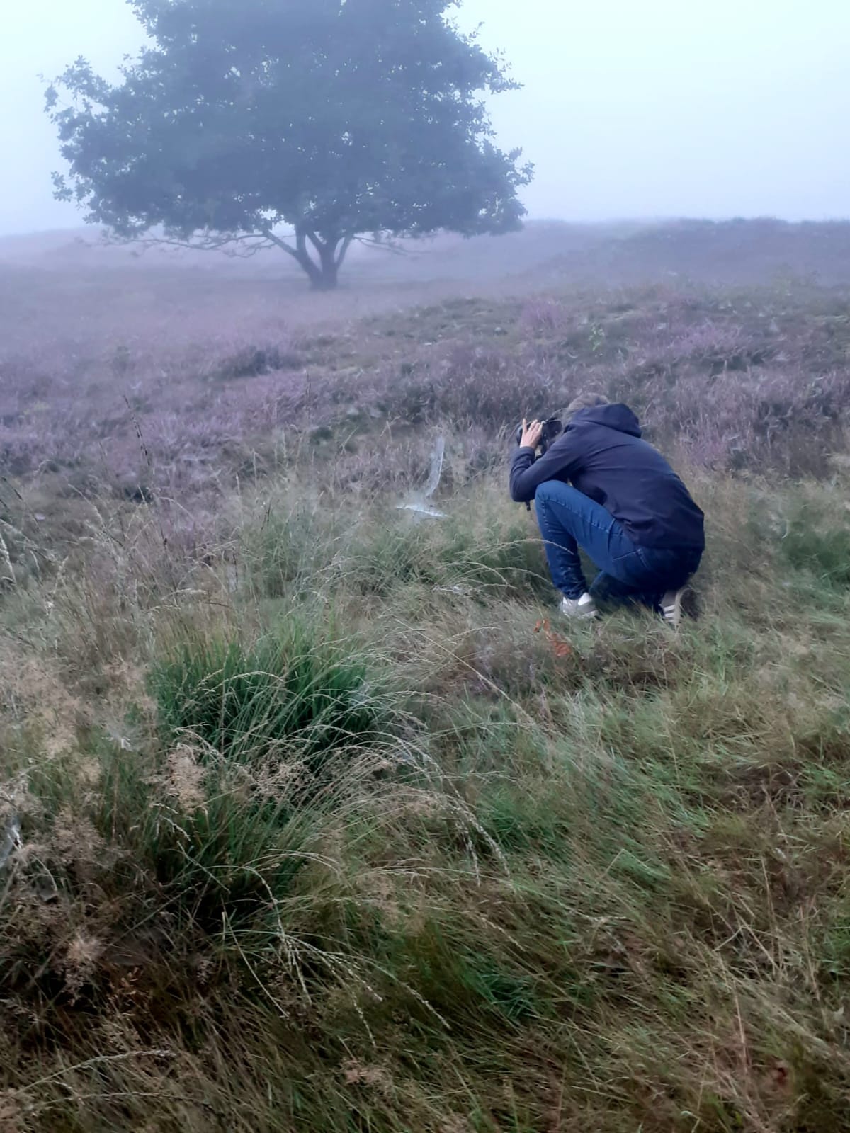 Fotografin in der Heidelandschaft im Nebel