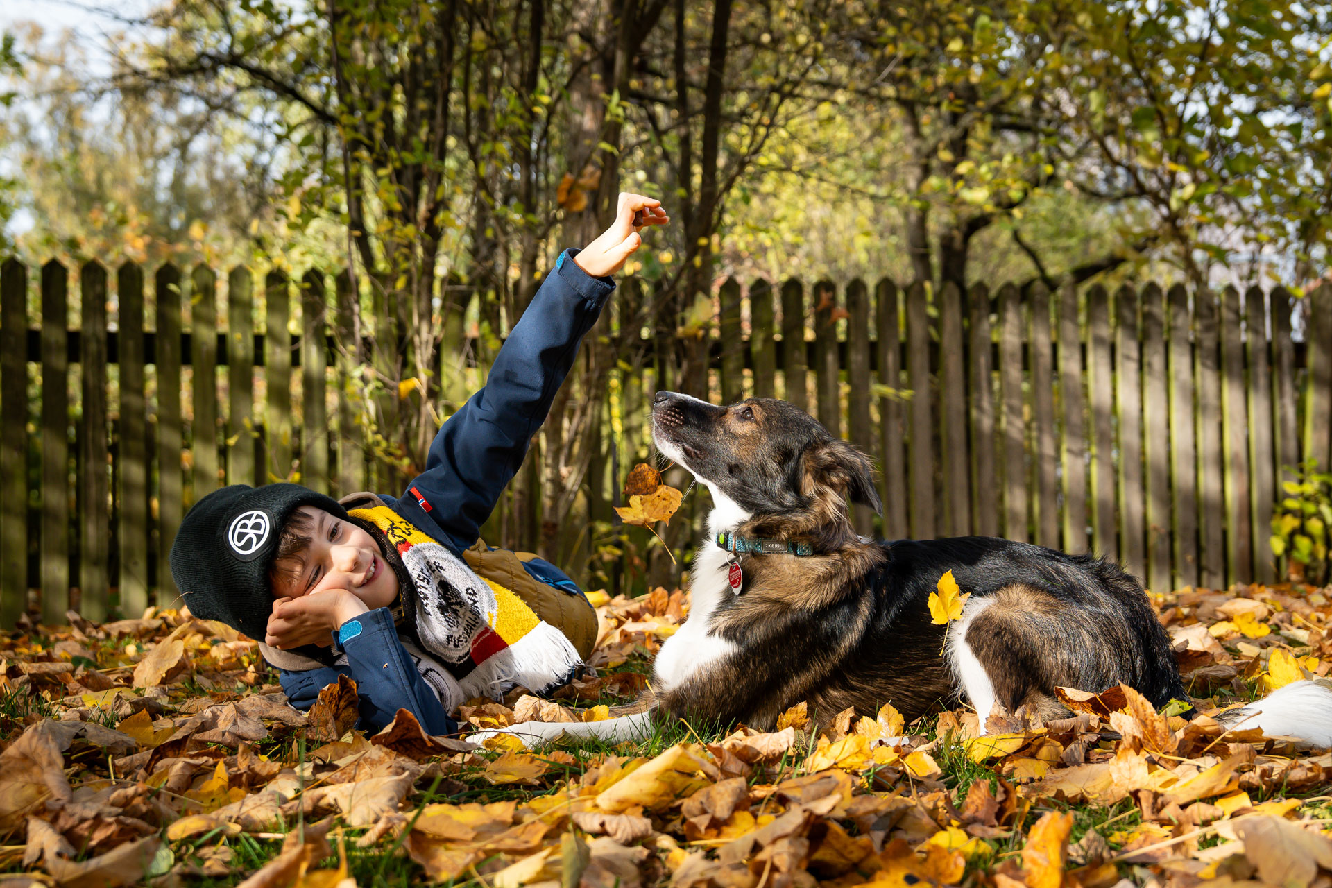 Junge liegt im Herbstlaub neben seinem Hund und beobachtet spielerisch fallende Blätter bei einem natürlichen Outdoor-Fotoshooting