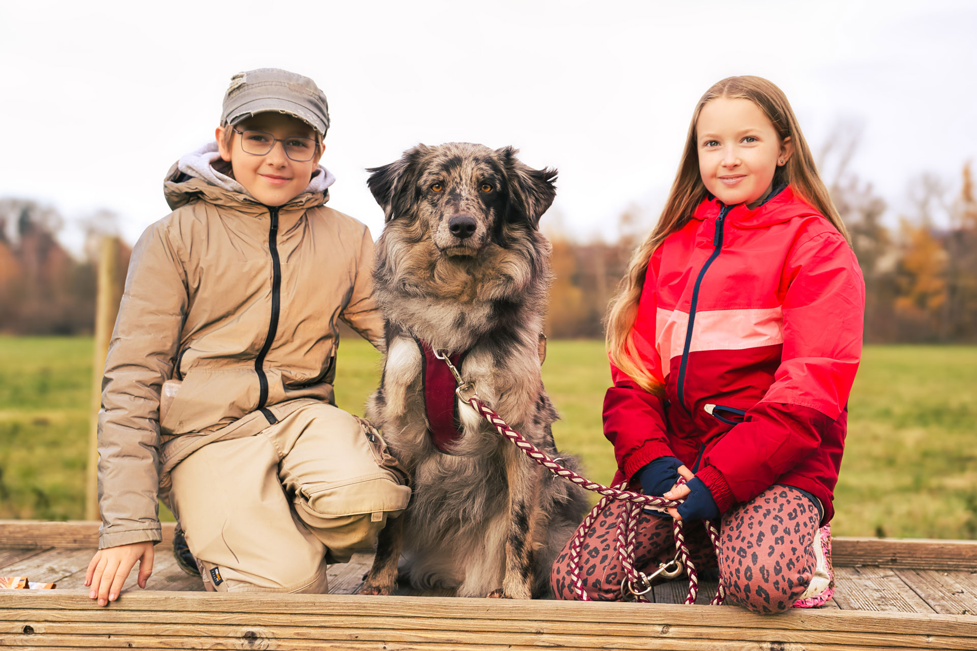Zwei Kinder sitzen mit einem Hund auf einer Holzplattform bei einem natürlichen Outdoor-Fotoshooting auf dem Land