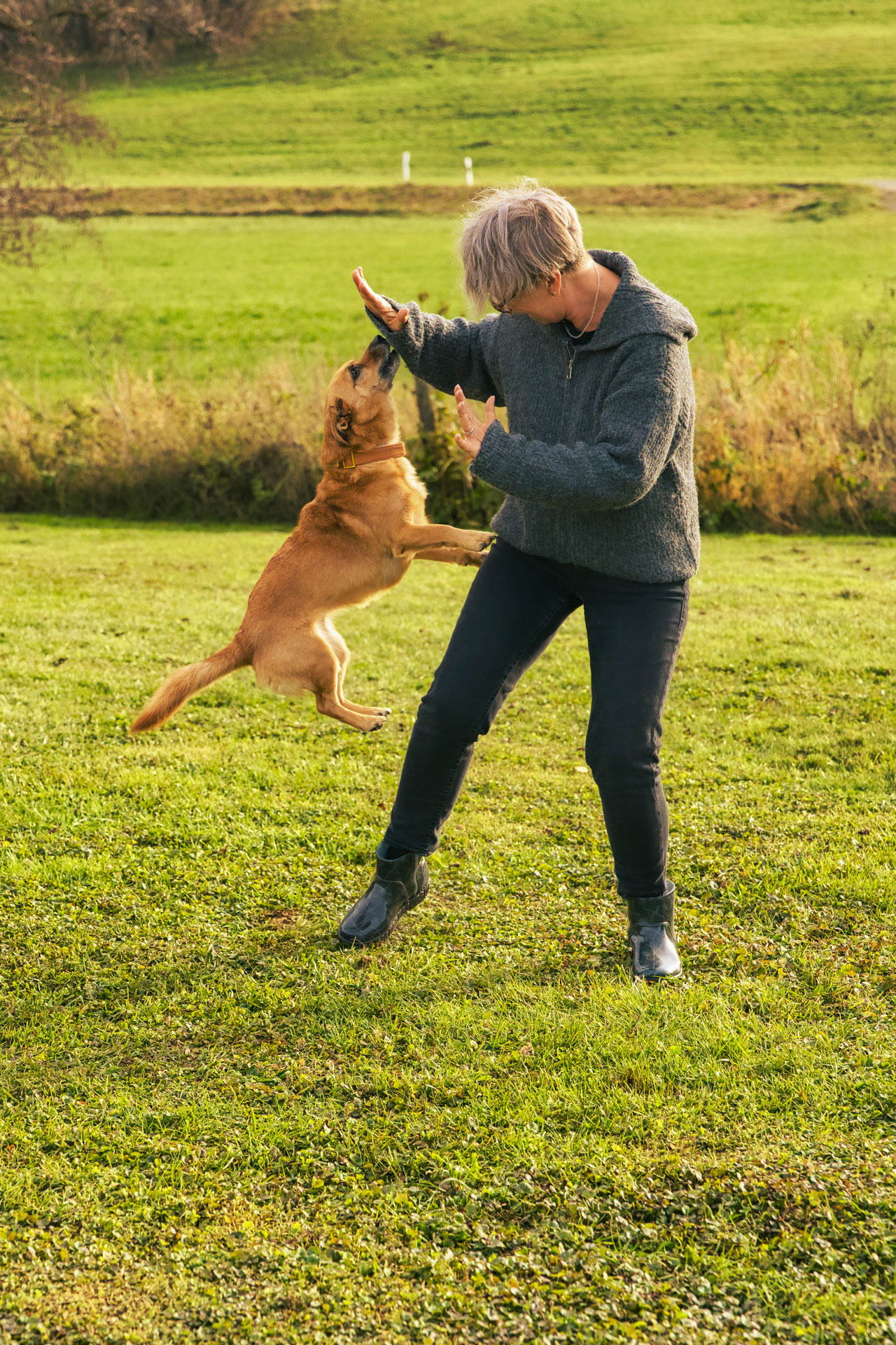Frau spielt mit einem springenden Hund auf einer grünen Wiese bei einem natürlichen Outdoor-Fotoshooting